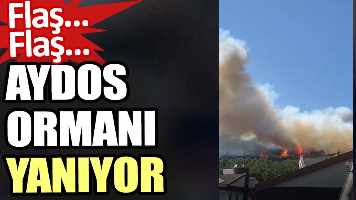 İstanbul Aydos Ormanı yanıyor