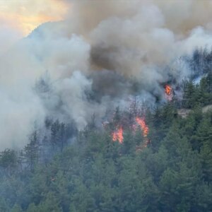 karabukte orman yangini yeniden basladi TrpfVk5k