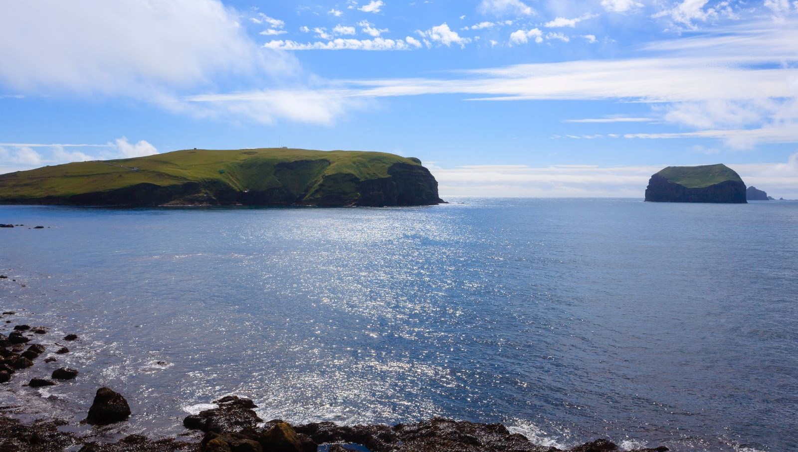 60 yil once dogan ada tabiatin kendini nasil onardiginin kaniti oldu 5GYifx6E.jpg