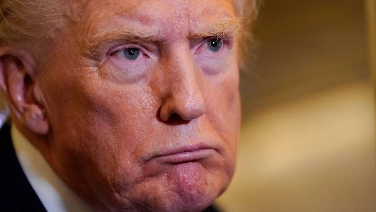 trumptan krallara hayir protestolarina tepki ulkemizi harika kilmak icin canimi disime takiyorum hepsi bu ben hic de kral degilim n2ZjfyjW.webp