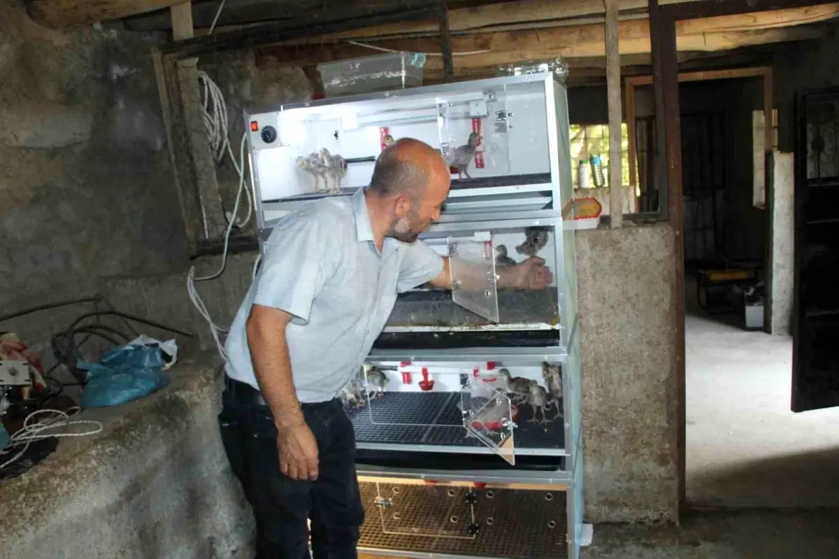 uluderede engelli aileye tavuk ciftligi destegi cbtlJwNg.jpg